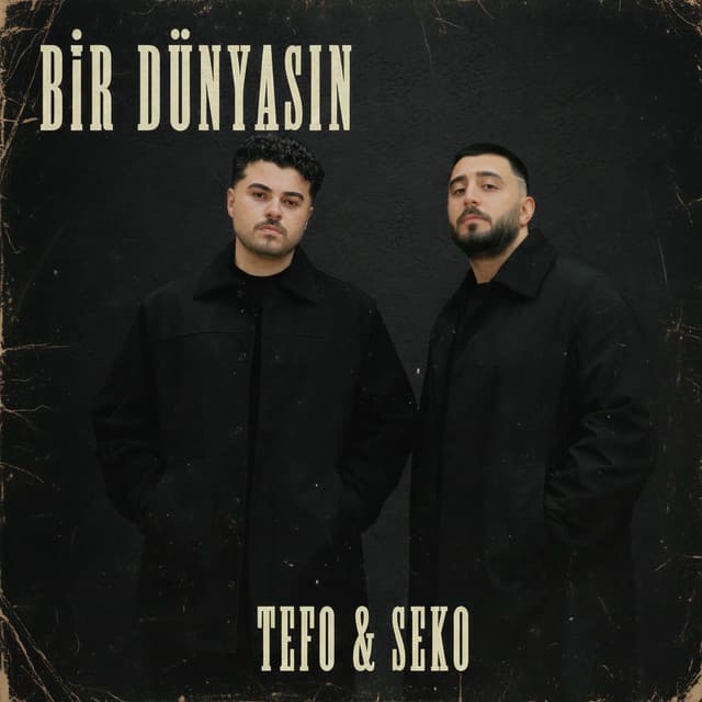 Album cover art for Bir Dünyasın