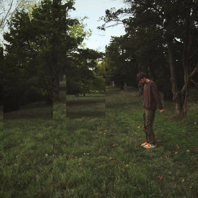 Album cover art for Silhouettes