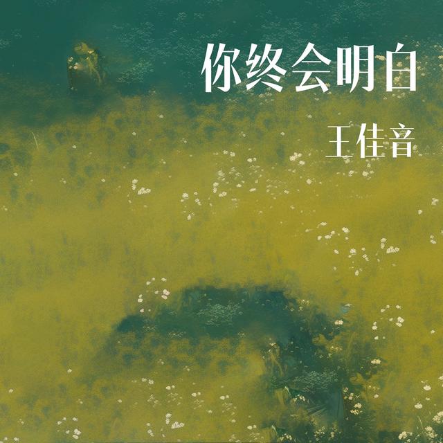 Album cover art for 你终会明白