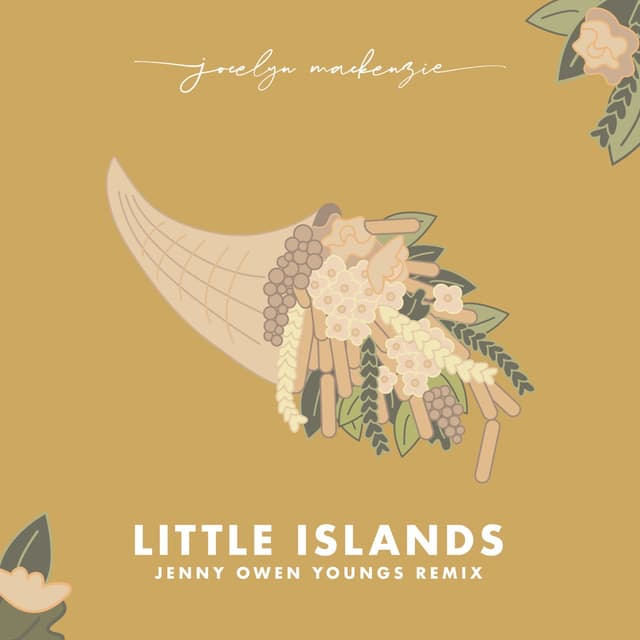 Album cover art for Little Islands (Jenny Owen Youngs remix)