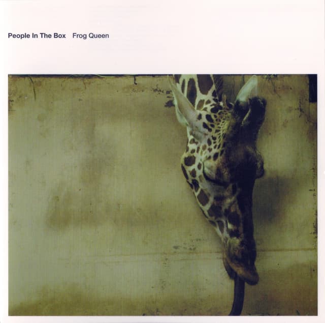 Album cover art for Frog Queen
