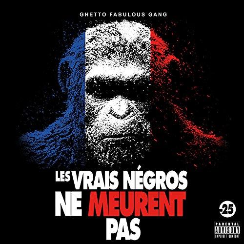 Album cover art for Les Vrais Négros Ne Meurent Pas