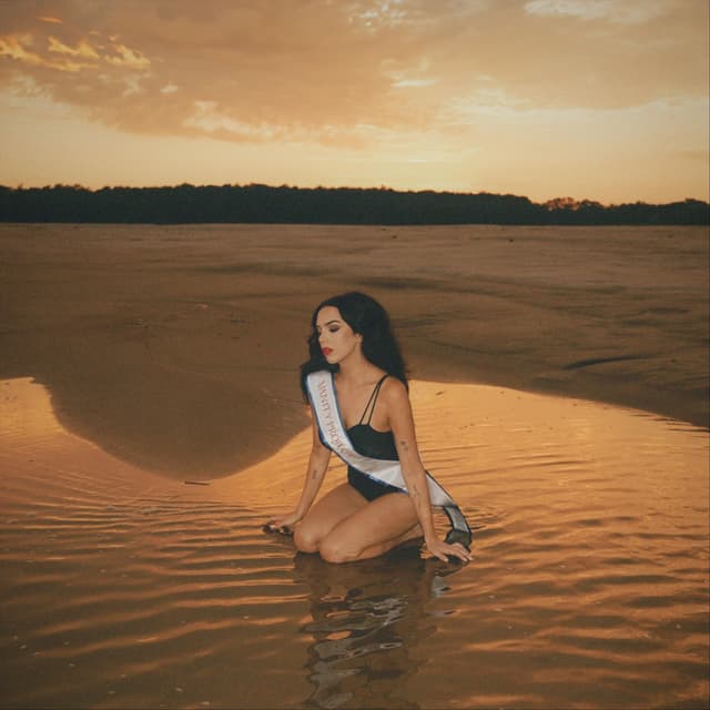 Album cover art for Vanity Project