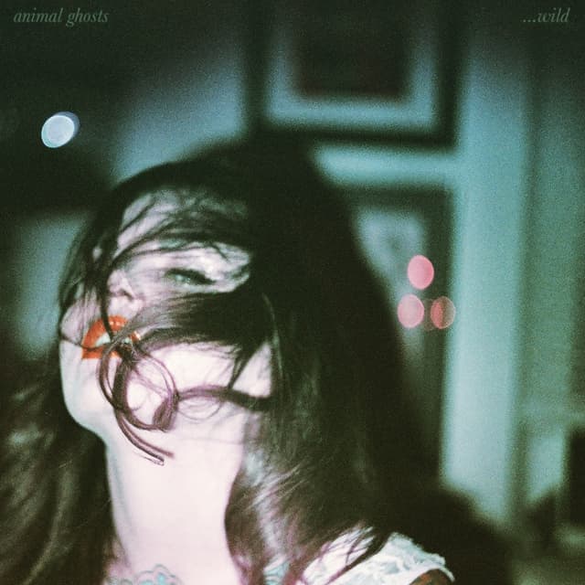 Album cover art for Wild