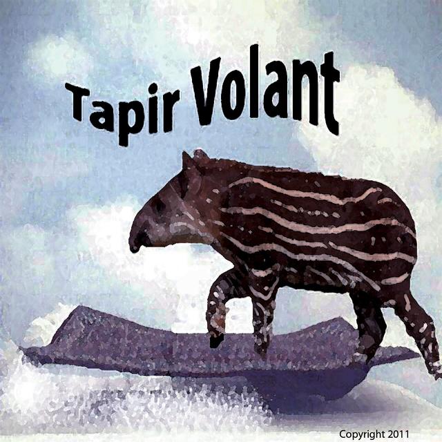 Album cover art for Tapirvolant