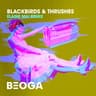 Blackbirds & Thrushes