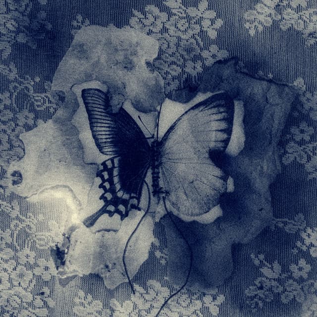 Album cover art for Gray