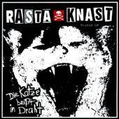 Album cover art for Die Katze Beißt In Draht