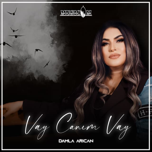 Album cover art for Vay Canım Vay