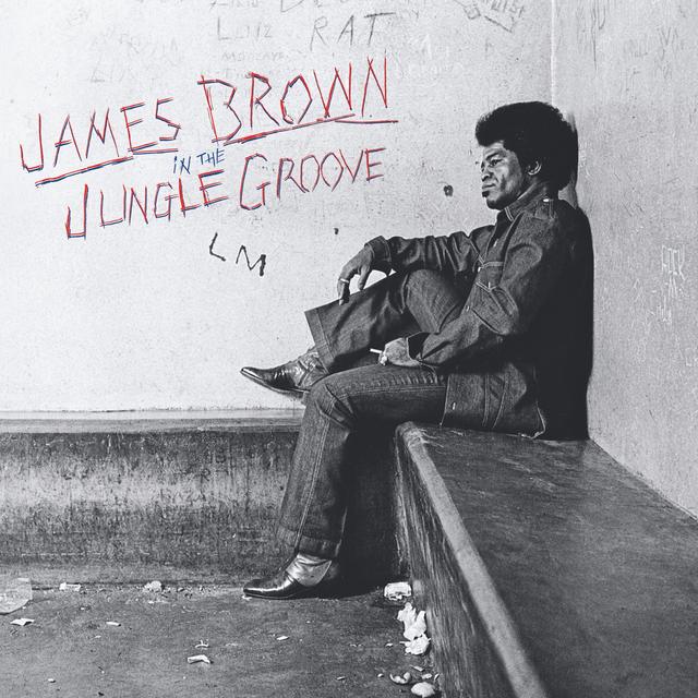 Album cover art for In the Jungle Groove