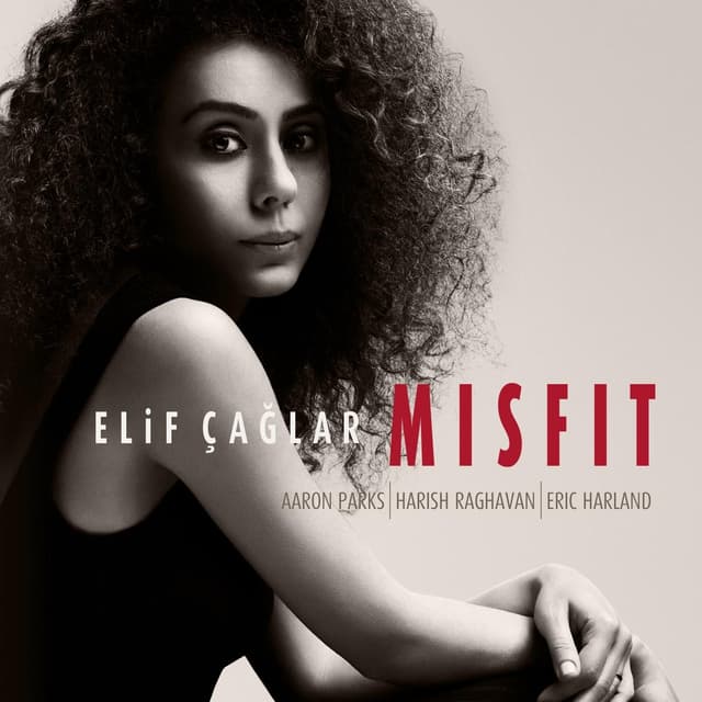 Album cover art for Misfit