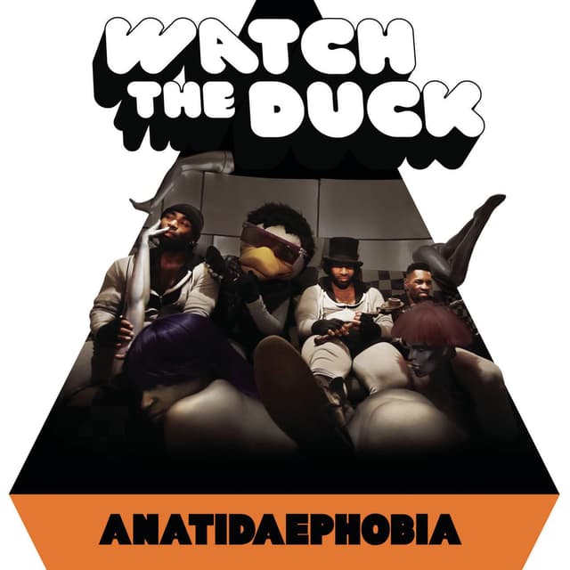 Album cover art for Anatidaephobia