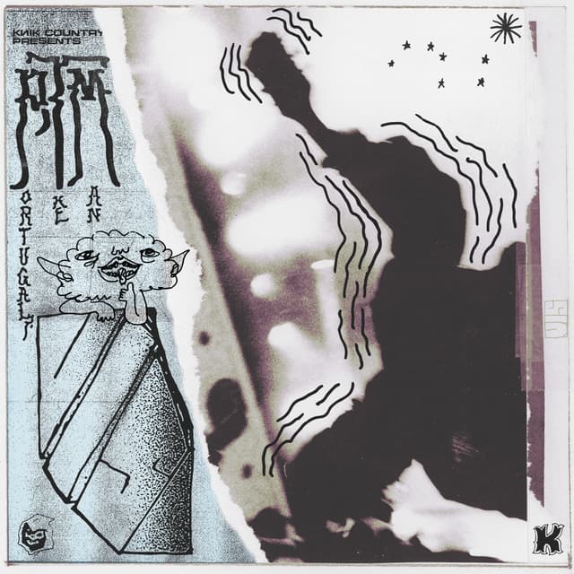 Album cover art for V.I.S.