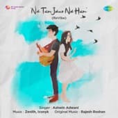 Album cover art for Na Tum Jano Na Hum (Revibe) - Single