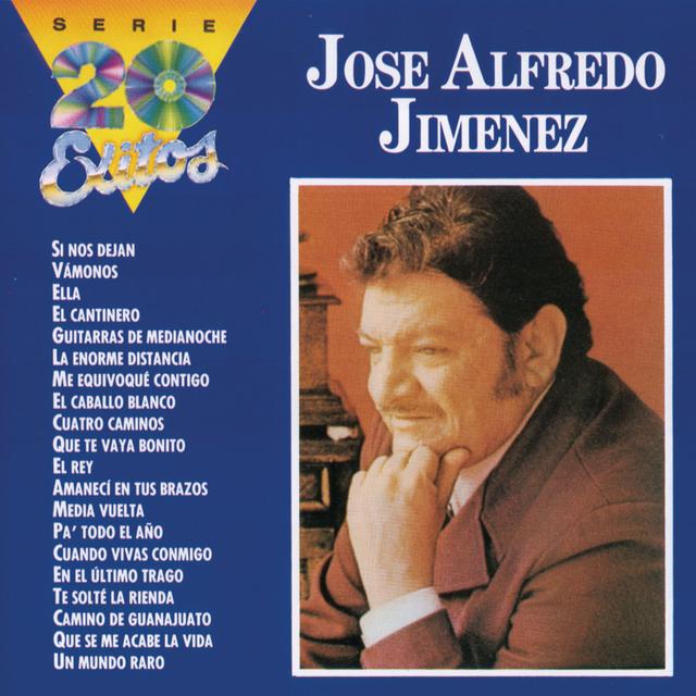 Album cover art for Serie 20 Exitos