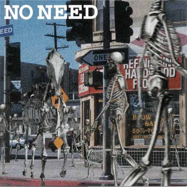 Album cover art for NO NEED