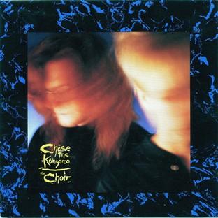 Album cover art for Chase The Kangaroo