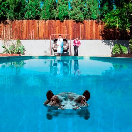 Hippopotamus