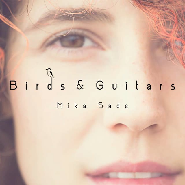 Album cover art for BIRDS & GUITARS