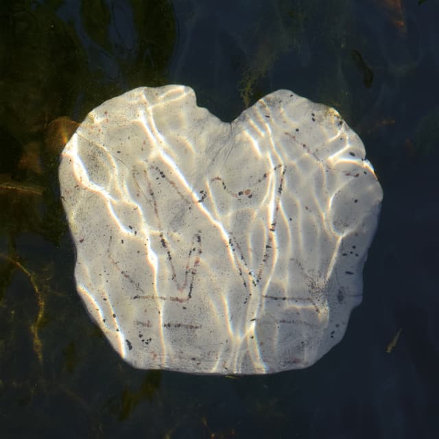 Album cover art for L'eau et les rêves