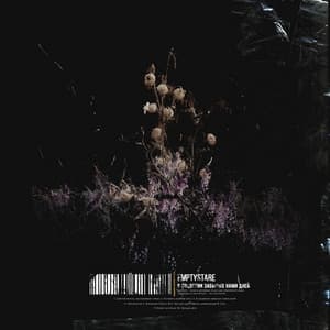 Album cover art for В соцветии забытых нами дней