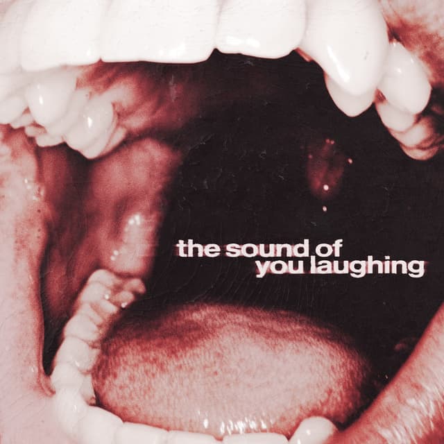 Album cover art for The Sound of You Laughing