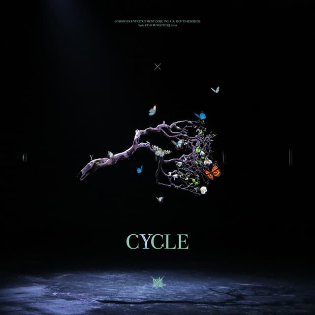 Album cover art for CYCLE