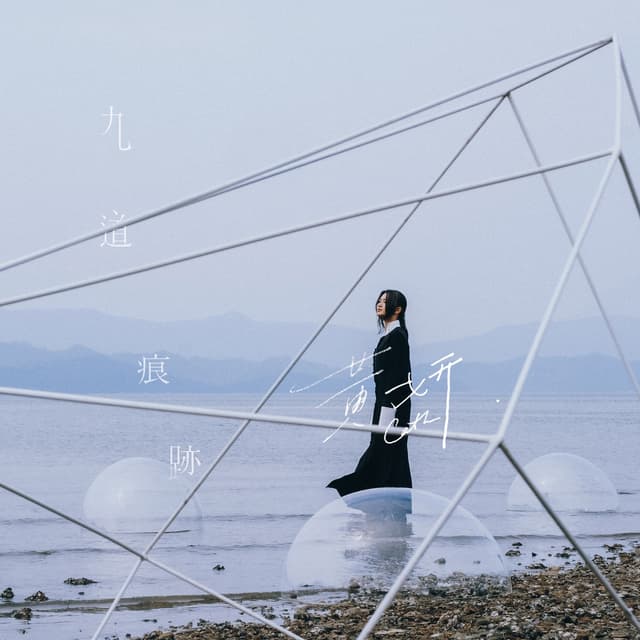 Album cover art for 九道痕跡
