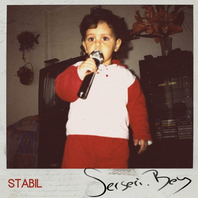Album cover art for Serseri Bey