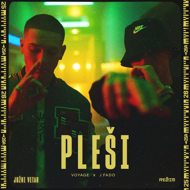 Album cover art for Plesi