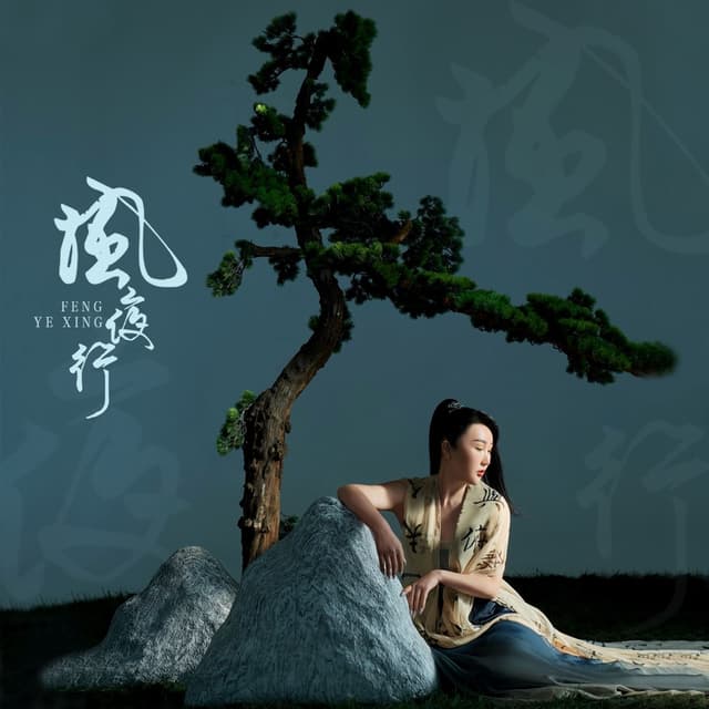 Album cover art for 风夜行