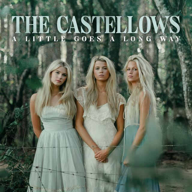 Album cover art for A Little Goes A Long Way