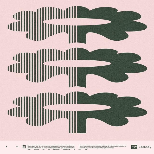 Album cover art for Comedy