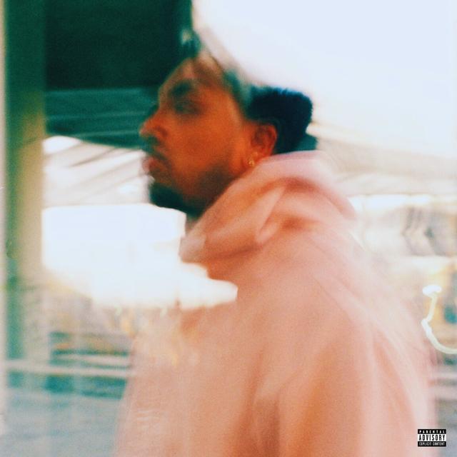 Album cover art for Nocturnal Hooli Vol. 1