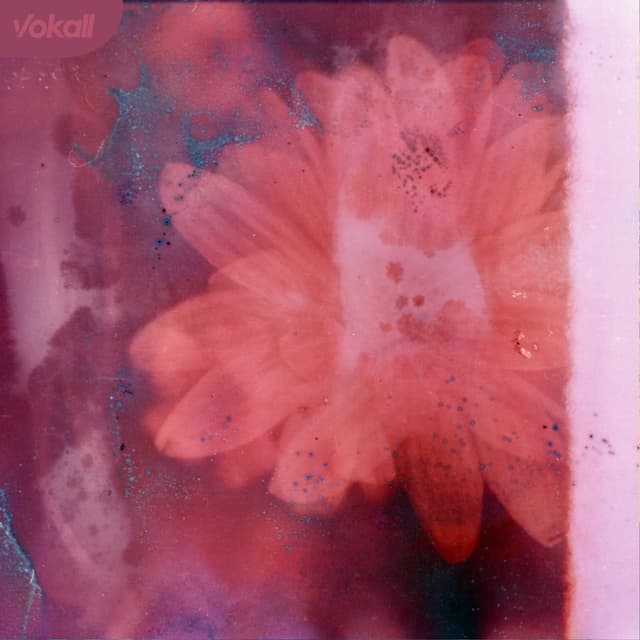 Album cover art for Soul Shaking