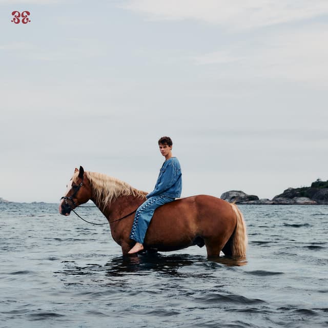 Album cover art for Northern Lights