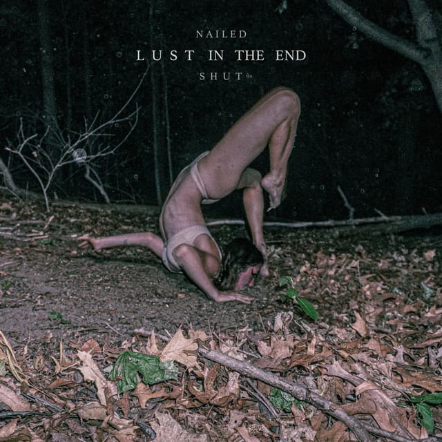 Album cover art for Lust in the End