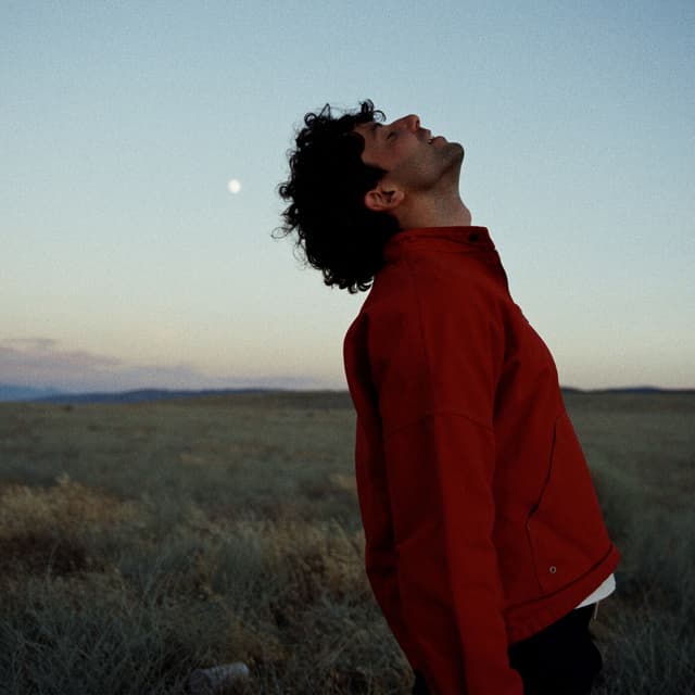 Album cover art for The Proof
