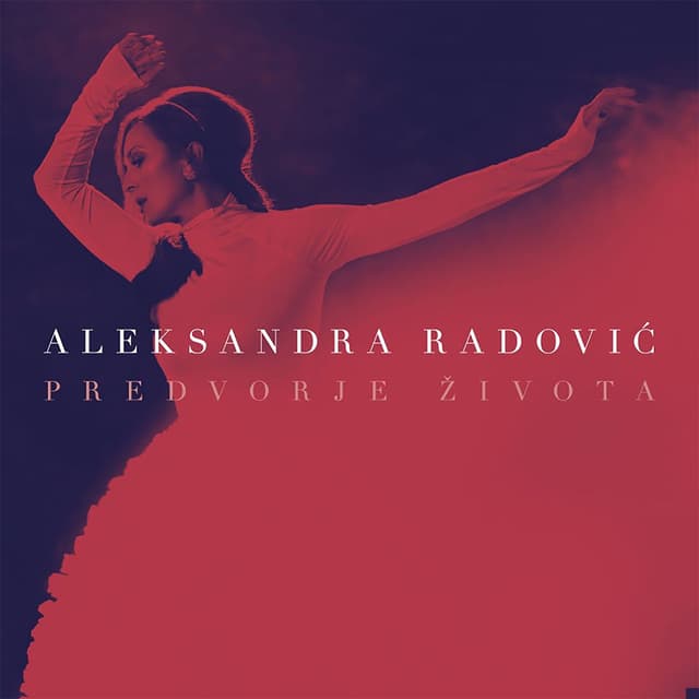 Album cover art for Predvorje Života