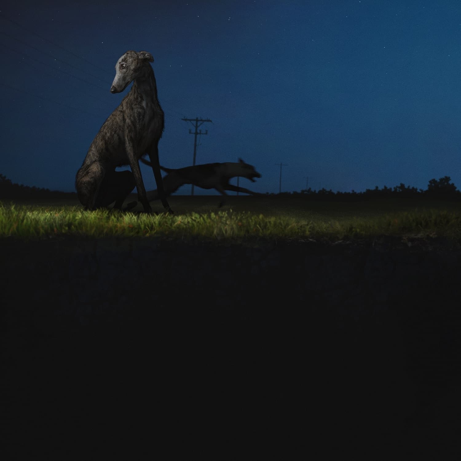 Lyric cover art