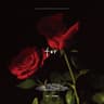 for (Acoustic) [Live Version]