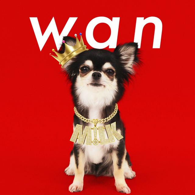 Album cover art for wan