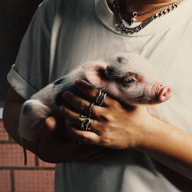 Album cover art for 30 The Album