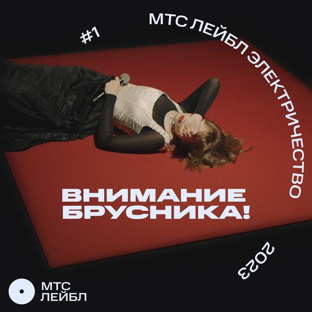 Album cover art for МТС Лейбл Электричество
