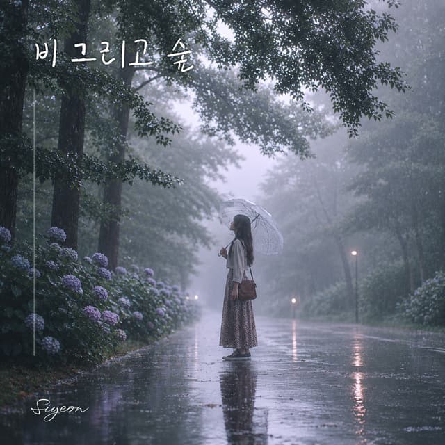 Album cover art for Rain forest