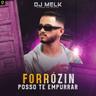 Forrózin Posso Te Empurrar (Forrozin Posso Te Empurrar)