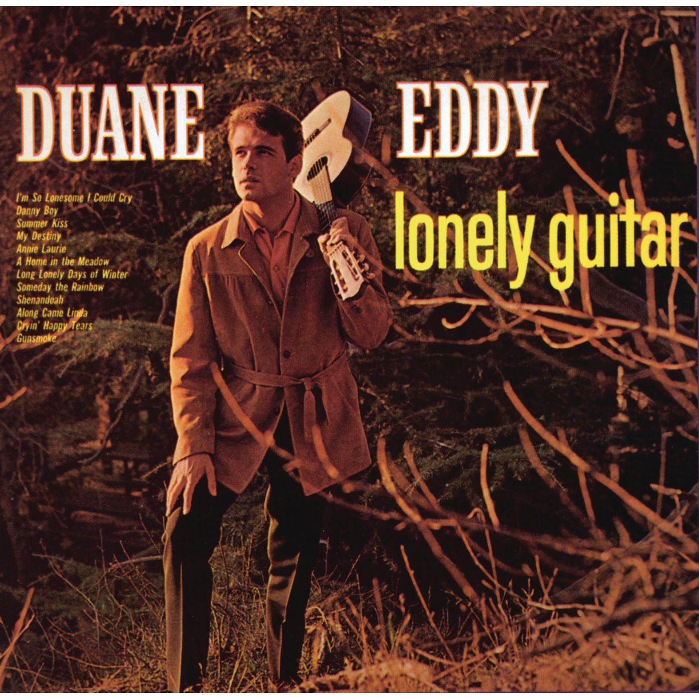 Lonely Guitar