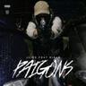 Paigons
