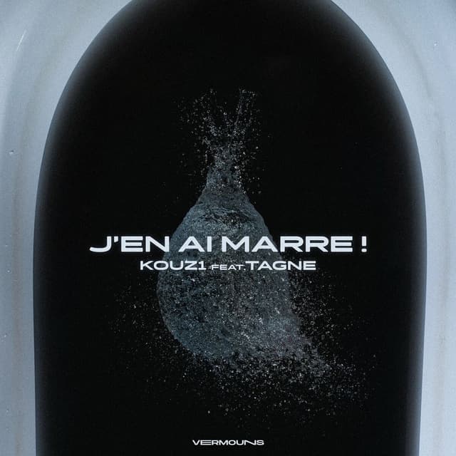 Album cover art for J'en ai marre !