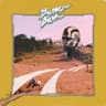 Stray Cats